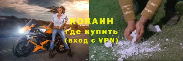 индика Елизово