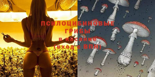 гашик Михайлов