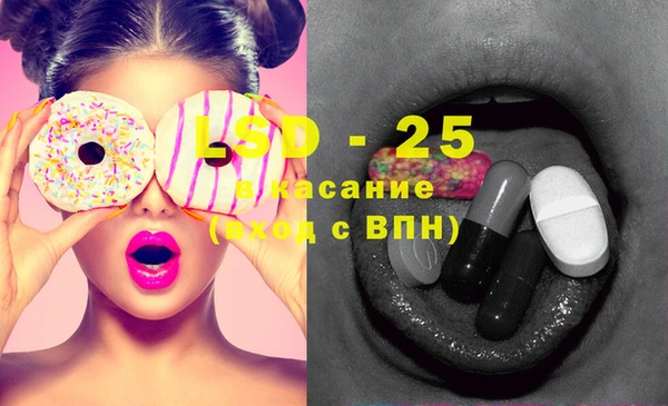 гашик Михайлов