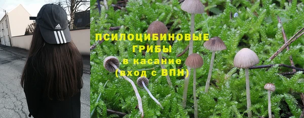 гашик Михайлов