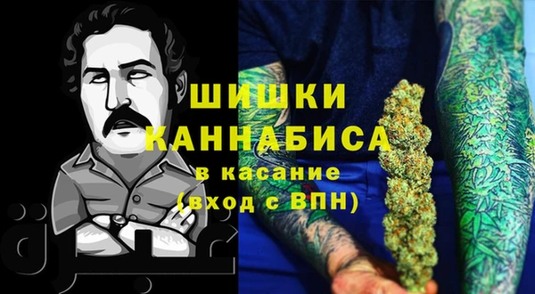 гашик Михайлов
