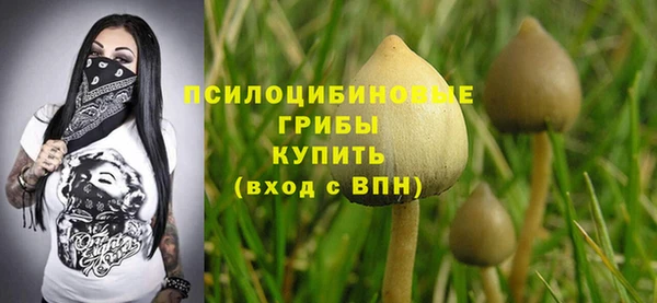 СК Михайловка