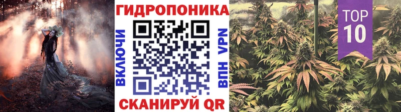 Бошки марихуана THC 21%  магазин продажи   Жигулёвск 